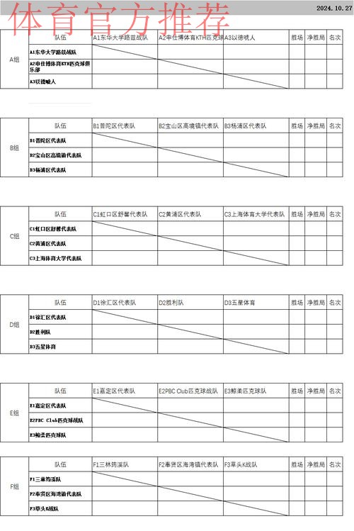 上海市民运动会匹克球项目总决赛举行